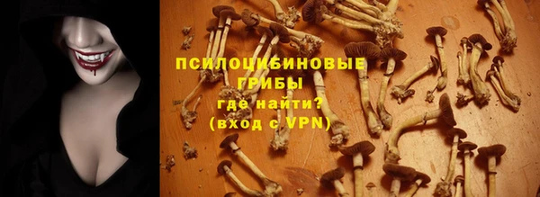 ALPHA PVP Касимов