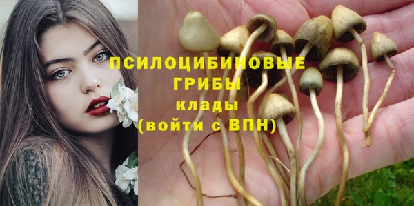 кокаин премиум Карпинск